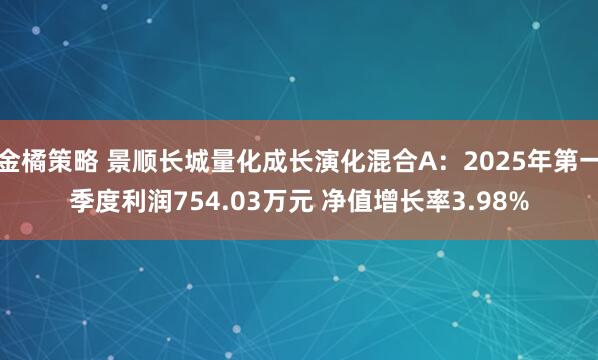 金橘策略 景顺长城量化成长演化混合A：2025年第一季度利润754.03万元 净值增长率3.98%