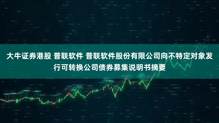 大牛证券港股 普联软件 普联软件股份有限公司向不特定对象发行可转换公司债券募集说明书摘要